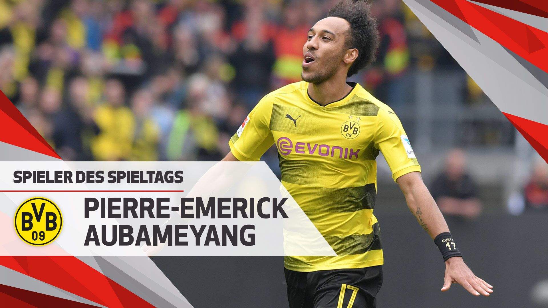 CITY 氟气气体传感器